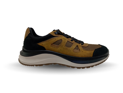 Zapato tipo Sneaker Outdoor de piel Flexi Country 420311 Honey para hombre