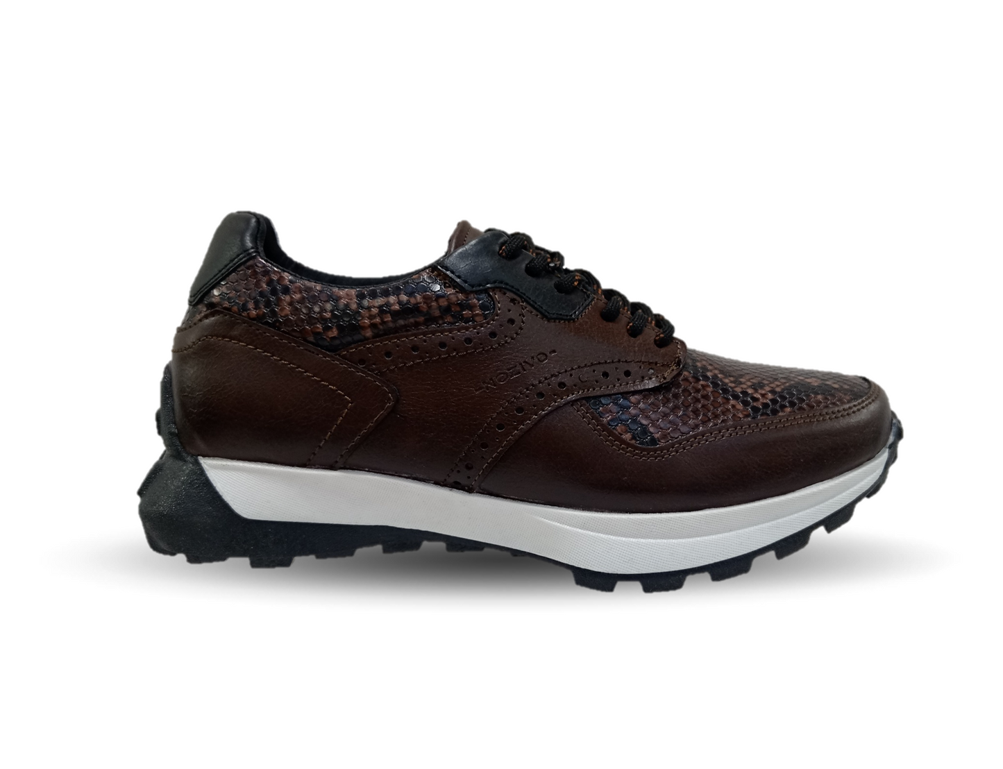 Zapato tipo Tenis Urbano Casual Nozivo 8601 Víbora Ferrero para hombre