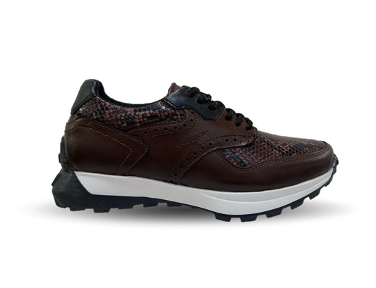 Zapato tipo Tenis Urbano Casual Nozivo 8601 Víbora Ferrero para hombre