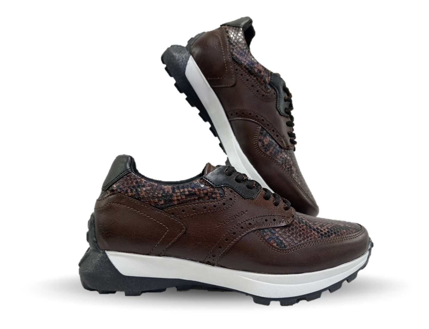 Zapato tipo Tenis Urbano Casual Nozivo 8601 Víbora Ferrero para hombre
